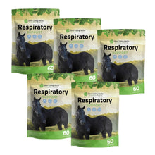 Load image into Gallery viewer, Respiratory Support for Horses
