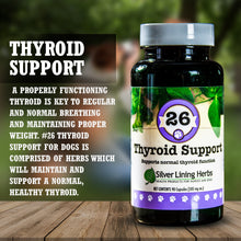 Load image into Gallery viewer, Thyroid Support for Canines

