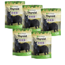 Load image into Gallery viewer, Thyroid Support for Horses
