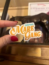 Load image into Gallery viewer, RRPHS Mare Gang Stickers
