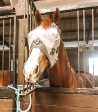 Load image into Gallery viewer, MagnaCu Fly Masks - Custom Order Here!
