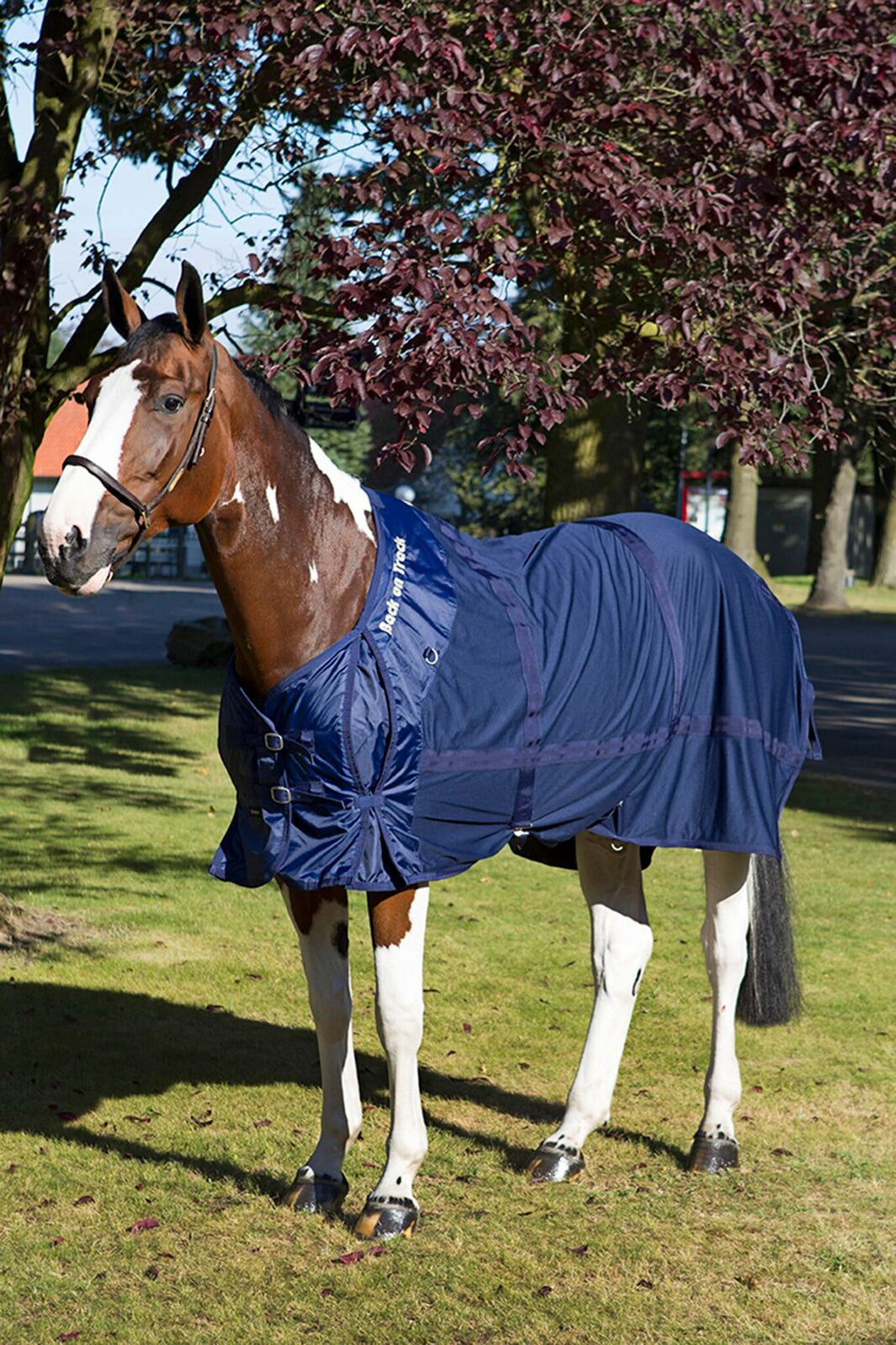 Back On Track Mesh Sheet - Clearance! Now $199