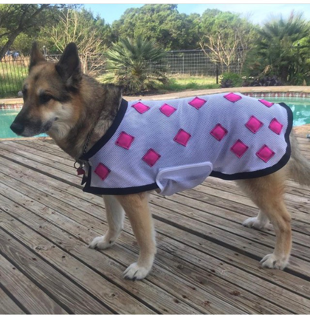MagnaCu Dog Blanket