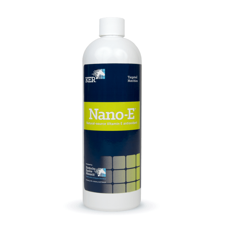 Nano-E